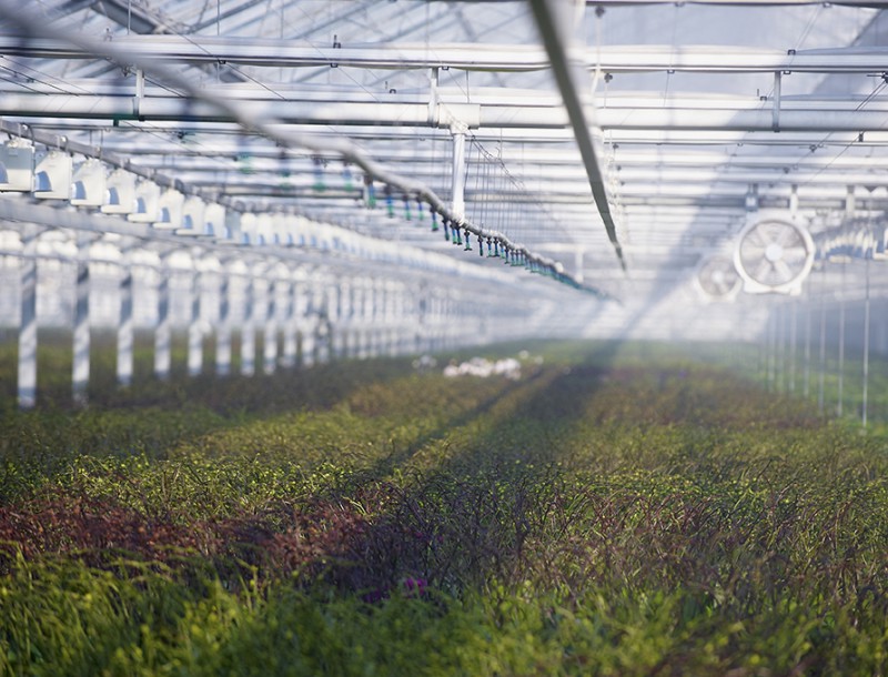 Afbeelding van Horticulture and irrigation